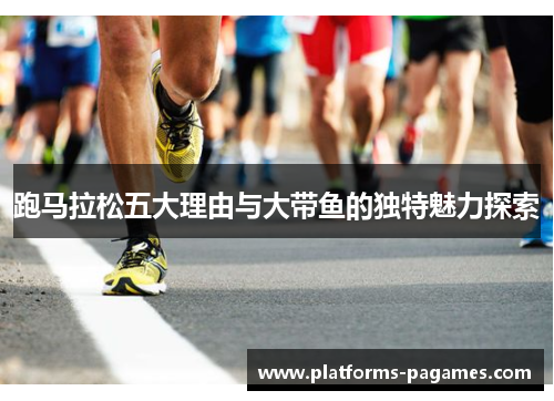 跑马拉松五大理由与大带鱼的独特魅力探索