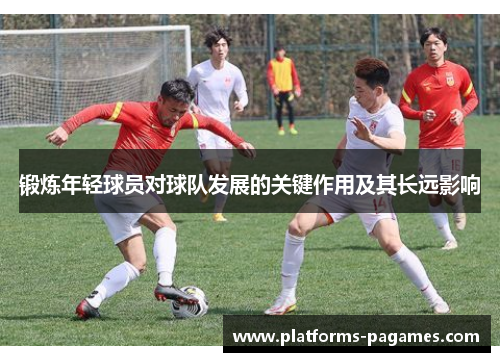 锻炼年轻球员对球队发展的关键作用及其长远影响