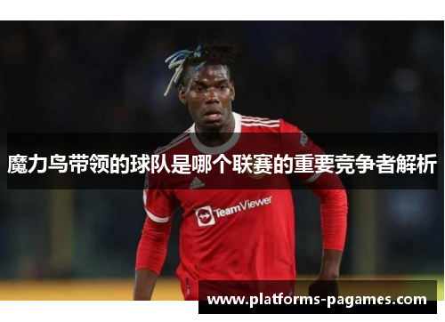 魔力鸟带领的球队是哪个联赛的重要竞争者解析 魔力鸟带领的球队是哪个联赛的重要竞争者解析