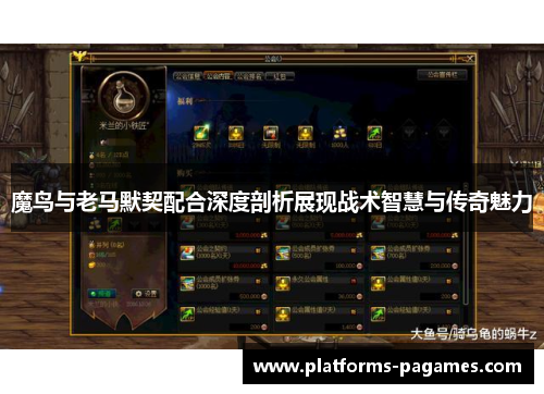 魔鸟与老马默契配合深度剖析展现战术智慧与传奇魅力 魔鸟与老马默契配合深度剖析展现战术智慧与传奇魅力