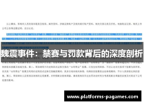魏震事件:禁赛与罚款背后的深度剖析 魏震事件:禁赛与罚款背后的深度剖析