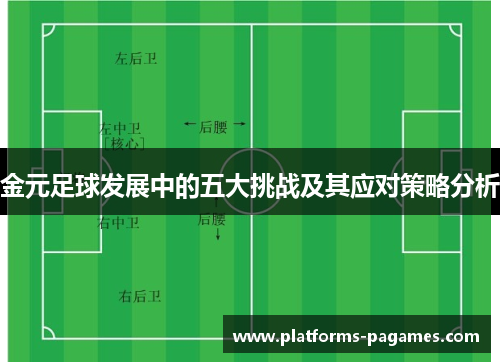 金元足球发展中的五大挑战及其应对策略分析 金元足球发展中的五大挑战及其应对策略分析