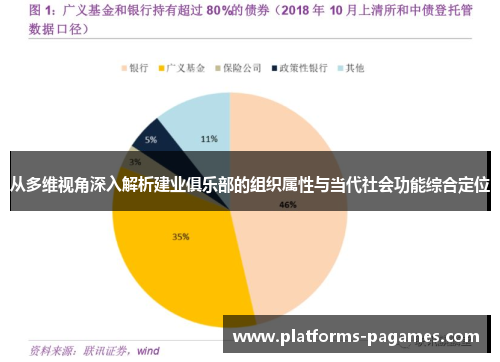 从多维视角深入解析建业俱乐部的组织属性与当代社会功能综合定位