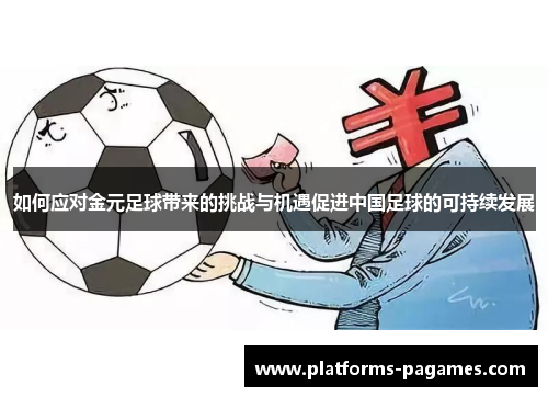 如何应对金元足球带来的挑战与机遇促进中国足球的可持续发展